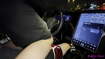 Bailey y su Tesla: Diversion en el coche