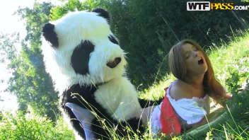 Pandas, bises et moments inoubliables