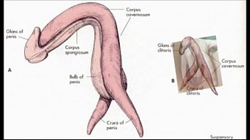 Bienvenidos a Hungria: El Paraiso de los Masajes Eroticos