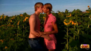 Liebe und Sonnenblumen: Ein Paar entzndet sich in einem goldenen Feld